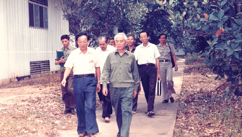 Hợp Nhất & Mở Rộng